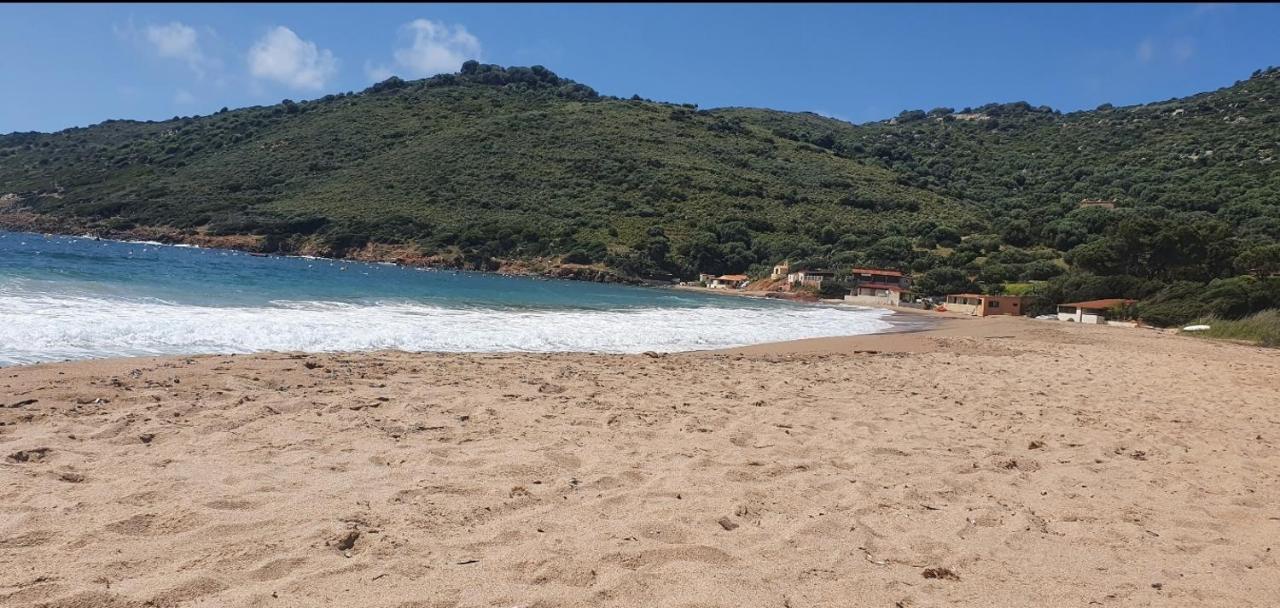 Corse *